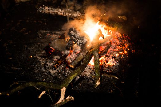 Flames of a cozy campfire flicker in a light breeze