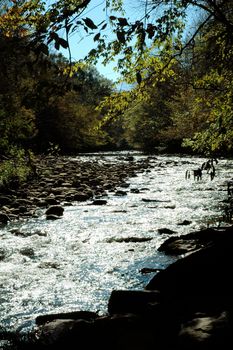 Gatlinburg