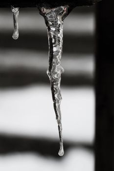 Row of long icicles on black and white background