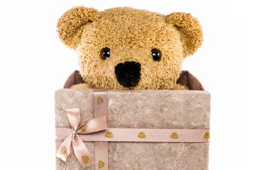 bears doll on white background isolated with gift box