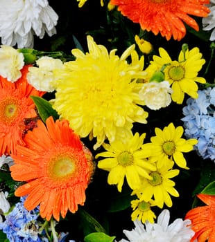 Nice flower bouquet close up 