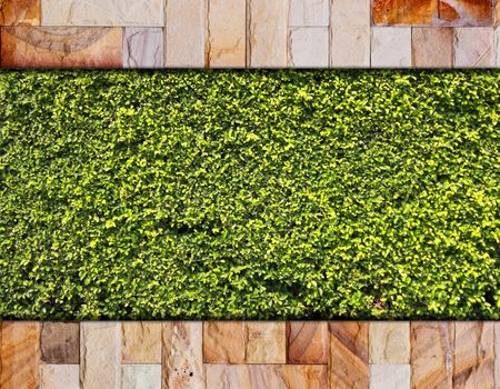 Stone brick and green leaf for background