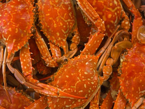 Cooked blue crab boiled for with background