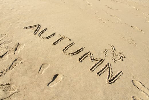 Word autumn handwritten and leaf drawn on beach sand background