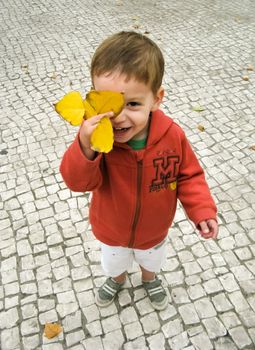 Cute smiling child boy cover his face with autumn leaf in a city park