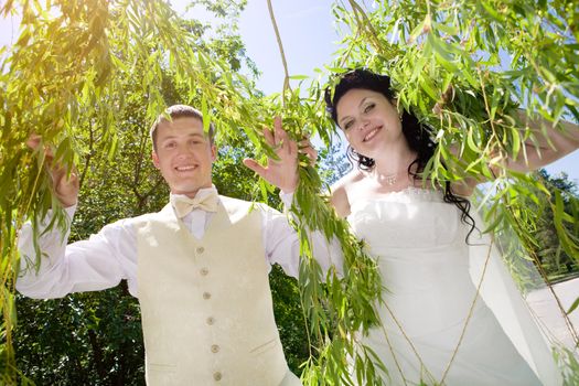 bride and groom in the branches of the tree