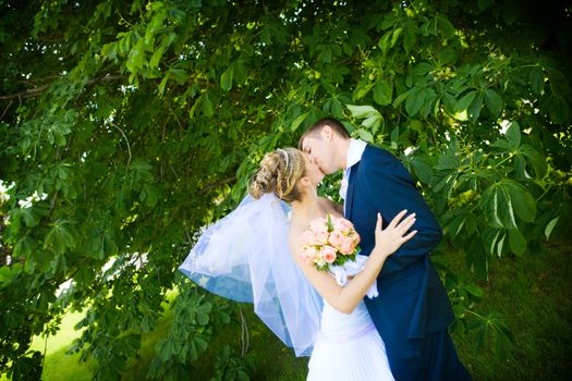 bride and groom kissing in the park