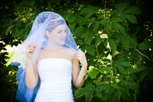 a bride near the tree