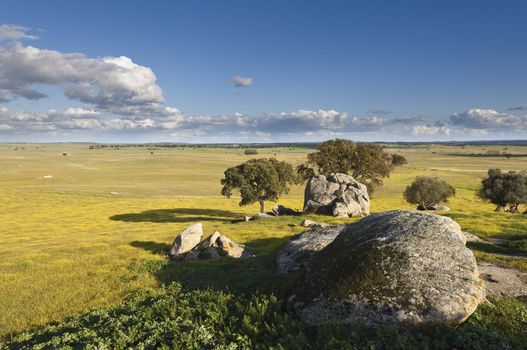 Vast plains of the Alentejo country in spring, Portugal