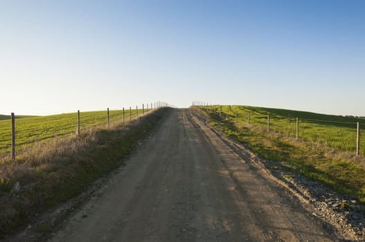 Deserted dirt road in the plain of Alentejo, Portugal