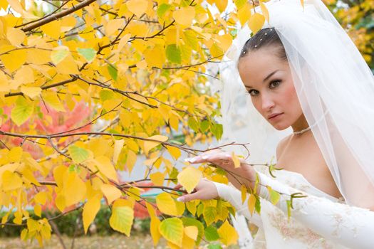 thinking bride by the yellow leaf of the tree