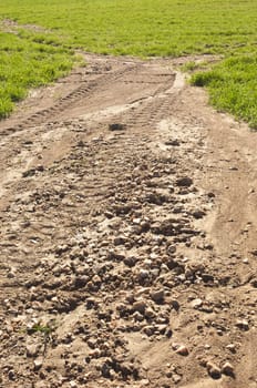 Detail of erosion in a crops field