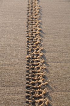 tyre tracks on the sand of the beach