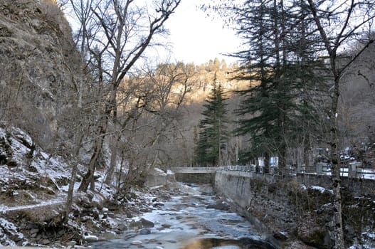 National Park Borjomi, Georgia