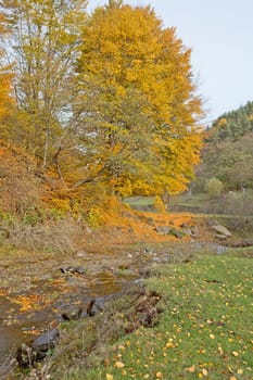 A valley with a little creek in autumn