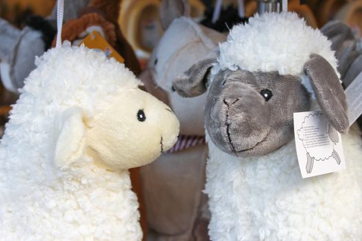Soft toy sheep in the souvenir shop