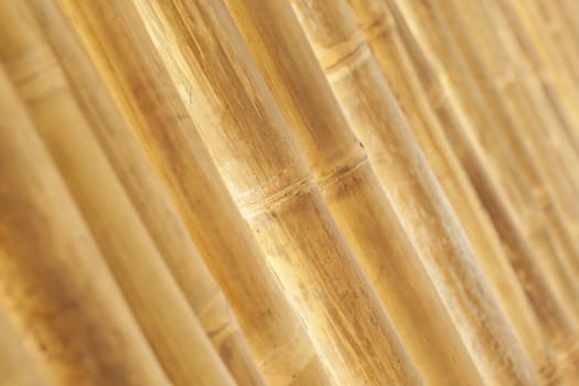 Bamboo wall background