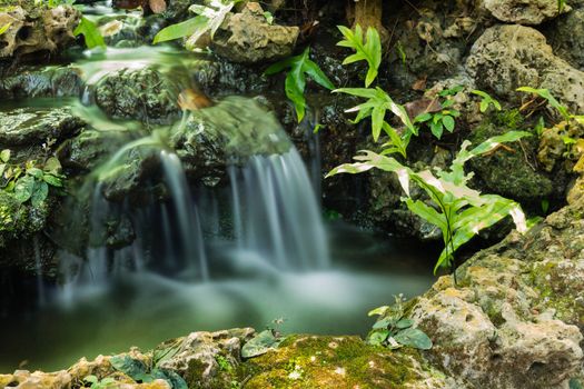 green leaf on ground of stone with waterfall in background