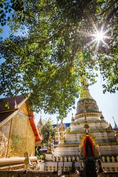 thai temple in chiangmai thailand with tree and sunlight