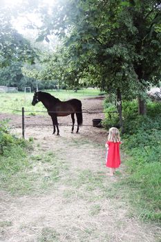 A child looking at a horse in a paddock