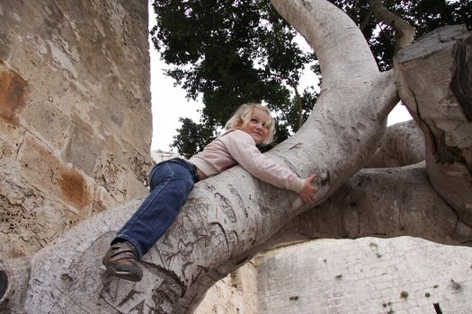 A young girl climbing up a tree