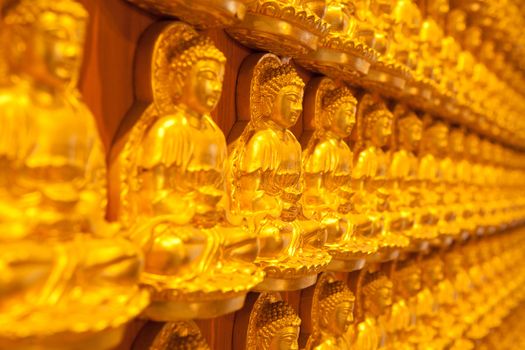 golden Image buddhas lined up along the wall of buddhist temple