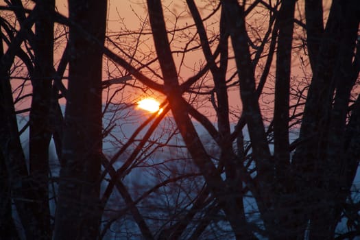 Winter sunset shining through the branches of the trees