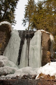 A still, small-sized, frozen waterfall surrounded by pine trees