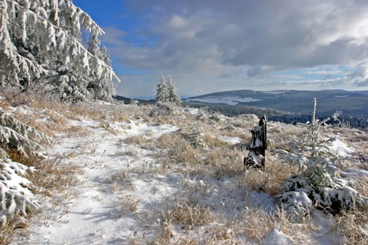 Winter landscape on a shiny day