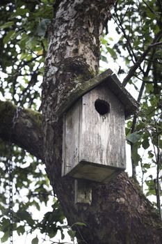 Empty birdhouse
