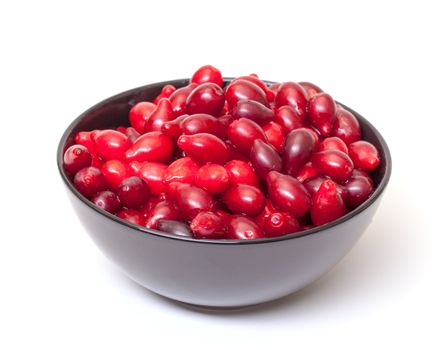Dogberry in Bowl, on white background