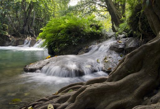 Deep forest Waterfall in Saraburi, Thailand 