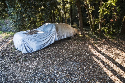 mysterious covered car in a forest