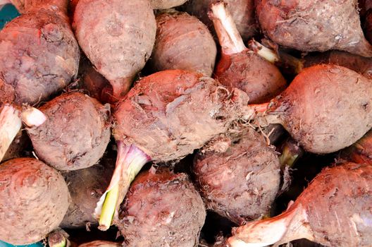 Group of taro roots in market.