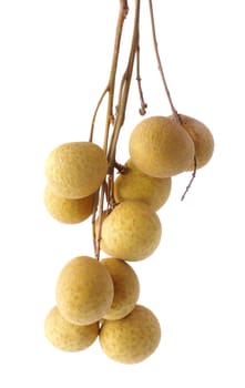 Fresh longan on the white background 