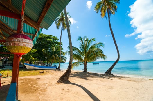 Beach, palm trees, and turquoise water in San Andres y Providencia, Colombia