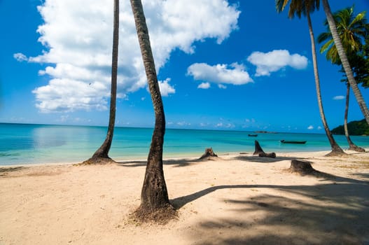 Beach, palm trees, and turquoise water in San Andres y Providencia, Colombia