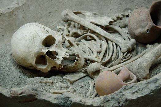 Ancient human's skull and bones in Historical Museum in Antalya, Turkey