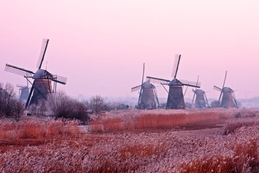 Ancient windmills at Kinderkijk in winter in  the Netherlands