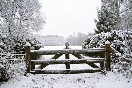 Winter in the Netherlands