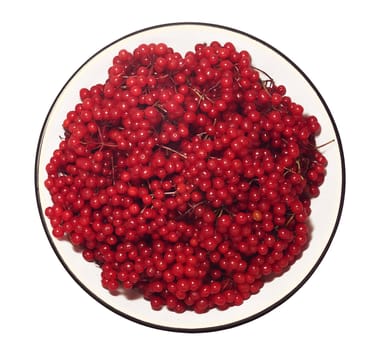 red viburnum berries in a bowl