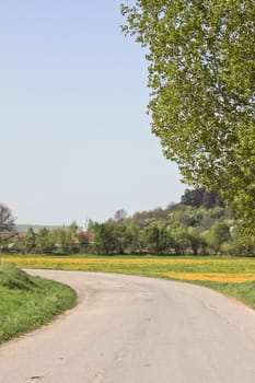 The curve of a country lane near a village