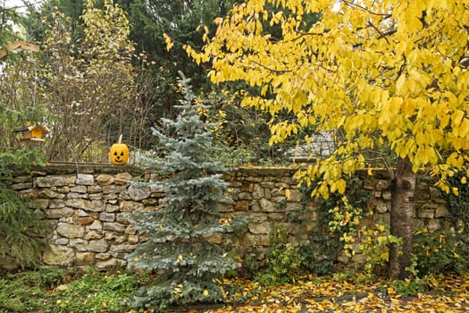 A garden in autumn with a jack-o'-lantern