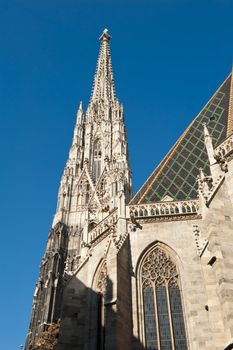 Detail of the famous cathedral of saint Stephan, Vienna / Austria