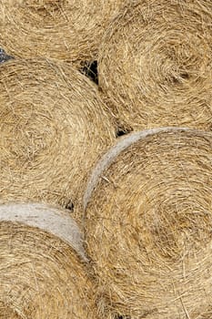 Detail of five straw bales - agricultural background