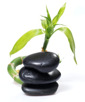 zen basalt stones and green leaves, still life