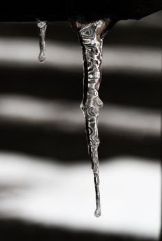 Row of long icicles on black and white background