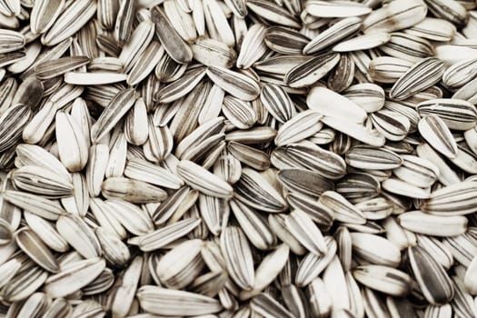 Sunflower seeds background