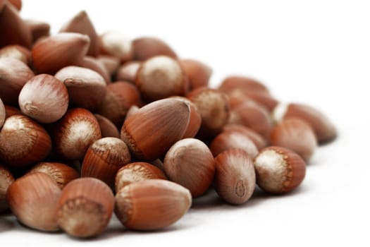 Hazelnut close up isolated on white background