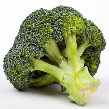 Broccoli on a white background.